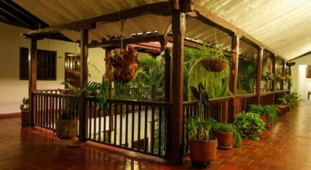Номер Standard Hotel Las Nieves