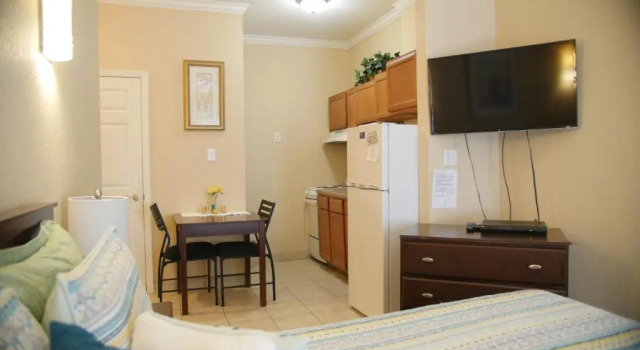 Люкс Standard Athens Hotel & Suites