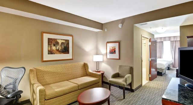Четырёхместный люкс c 1 комнатой Hilton Garden Inn Tampa Northwest/Oldsmar