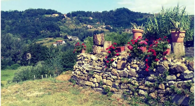 Apartment La Torretta