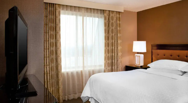 Двухместный полулюкс Sheraton Great Valley Hotel