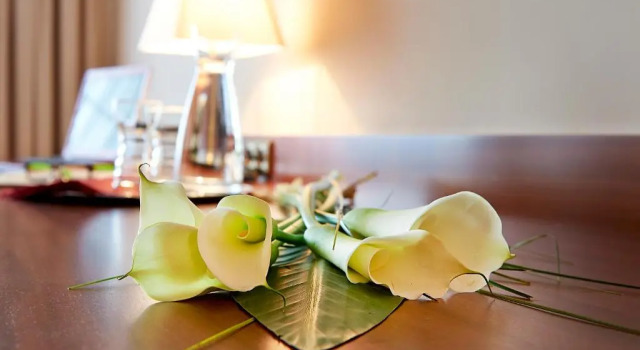 Номер Standard Hotel Admiral am Kurpark