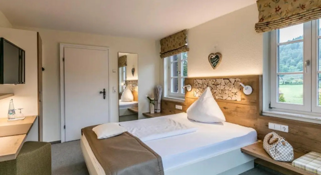 Одноместный номер Standard Hotel-Gasthaus Goldener Engel