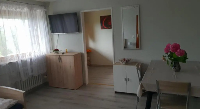 Апартаменты Mainzimmer Business Appartment - Monteurwohnung mit Burgblick