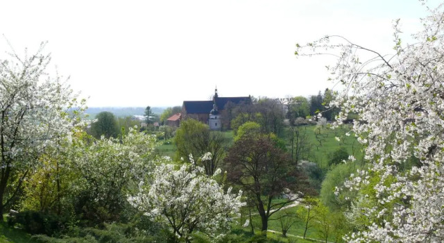 Двухместный номер Standard Hotel Basztowy
