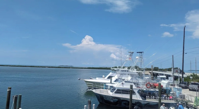 Люкс Standard c 1 комнатой Bud N' Mary's Fishing Marina