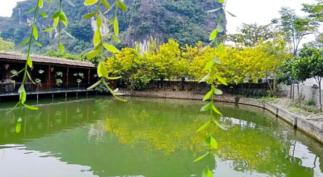 Четырёхместный номер Standard с видом на озеро Tam Coc Garden Homestay
