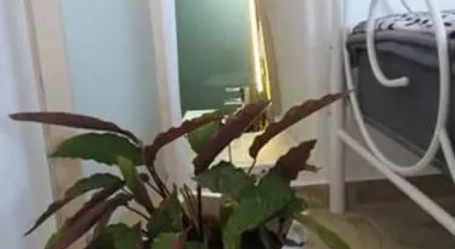 Studio Rafaela, Забронировать Отель Матала Центральный Крит