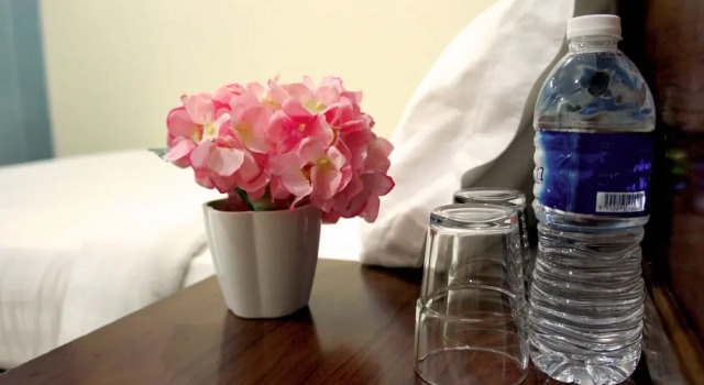 Номер Standard Maple Inn