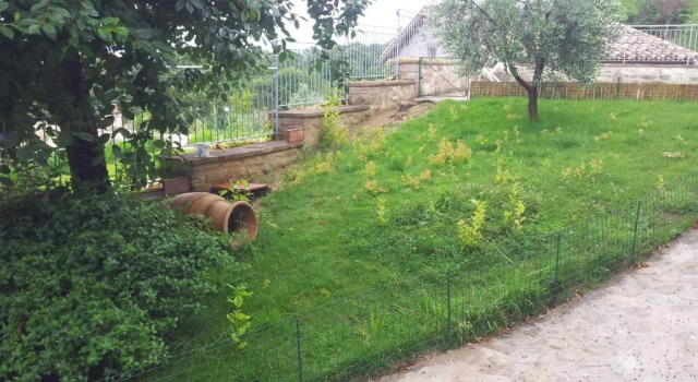 Appartamento 1 camera da letto Fonte Chiara