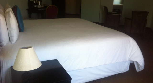 Номер Deluxe с видом на сад Exec Closets Hotel