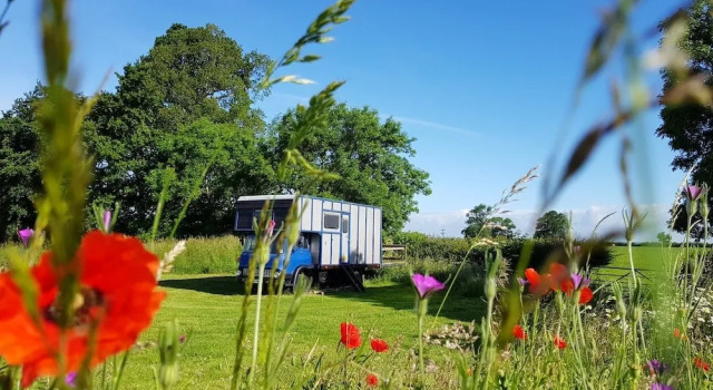 Тент Glamping Thorpe