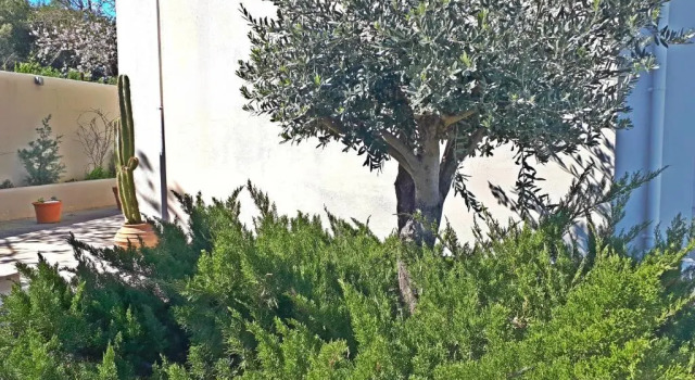 Студия Minimal Studio in Nature, Exostis Nafplio