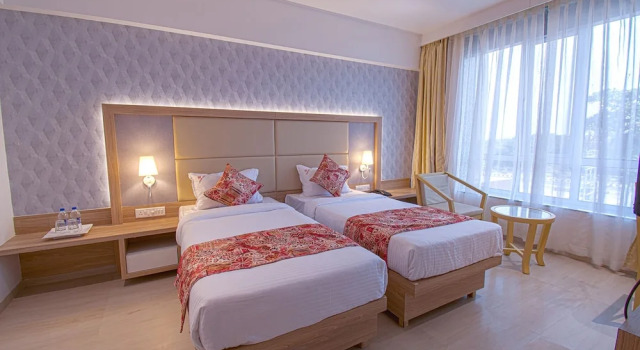 Номер Standard Hotel Park Tree