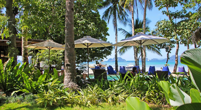 Номер Standard Last Frontier Beach Resort