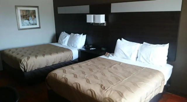 Четырёхместный номер Standard Quality Inn & Suites Stuttgart North