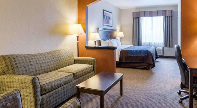 Двухместный люкс Comfort Inn & Suites Winnie