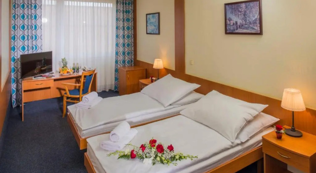 Camera doppia Standard TOP HOTEL Praha