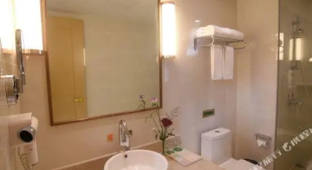 Люкс Vienna International Hotel (Wuhan Wangjiawan Tieqiao Square)
