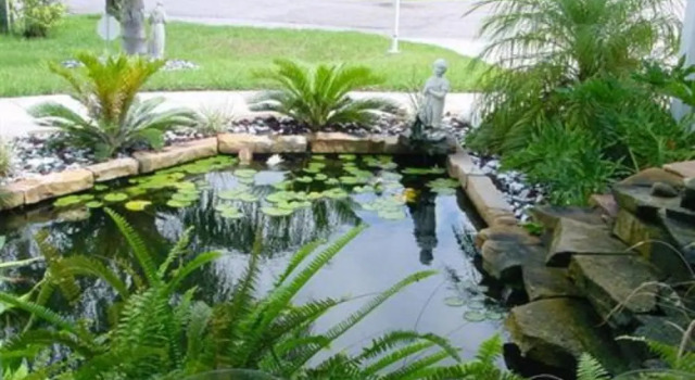 Tropical Paradise Bed & Breakfast