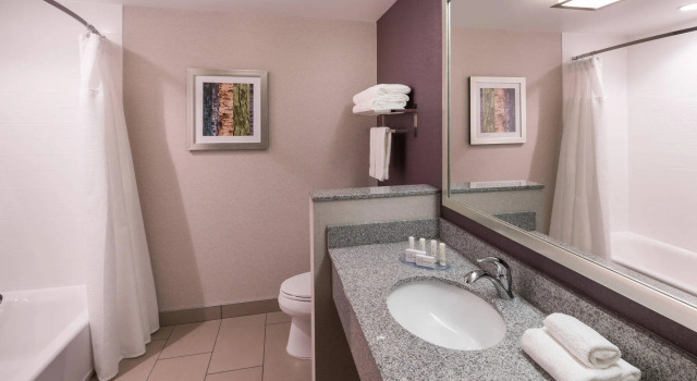 Четырёхместный номер Executive Fairfield Inn & Suites by Marriott Chicago Schaumburg