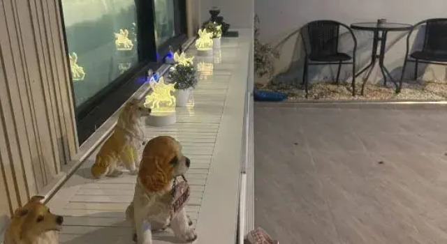 Sai's cozy house