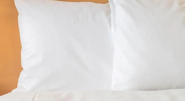 Четырёхместный номер Standard Rodeway Inn Gastonia East