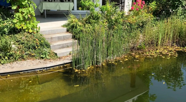 Apartment Green Elephant, Rezervasyon Daire Bechlingen Baden-Württemberg