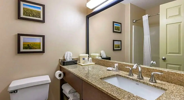 Люкс Comfort Inn Great Falls South