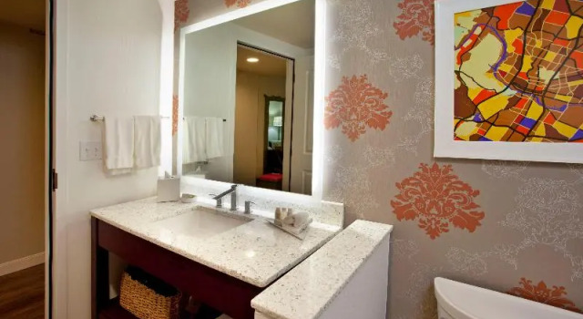 Двухместный номер Standard с красивым видом из окна Hotel Indigo Austin Downtown - University by IHG