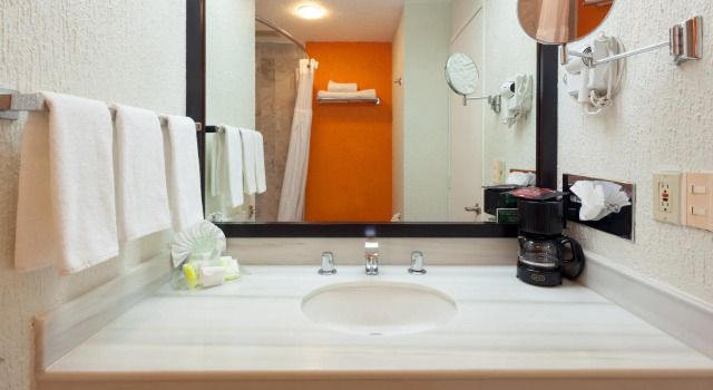 Двухместный номер Standard Holiday Inn La Piedad by IHG