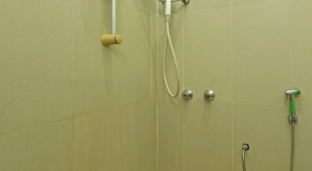 Номер Standard OYO 90441 Cz Traveler's Hotel