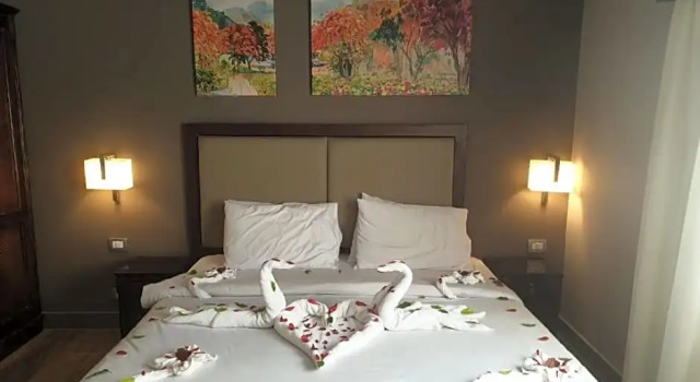 Номер Standard Green Plaza Inn