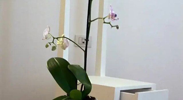 Standaard kamer Albergo 'La Vigna'