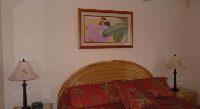 Napili Point Oceanfront Turtle View 1br - Unit B30 1 Bedroom Condo, Забронировать Апартаменты/квартира Апартаменты Лахайна, рядом с Keonenui Beach, Апартаменты/квартира