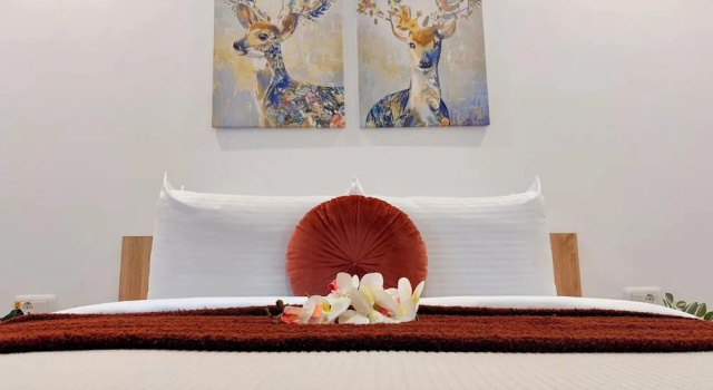Апартаменты Luxury с 2 комнатами Stylish Apartments in North Bucharest
