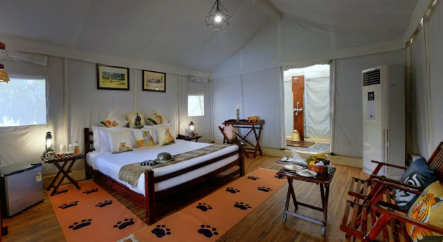 Abrar Palace & Jungle Camps
