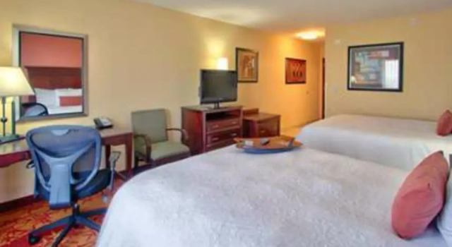 Четырёхместный номер Deluxe Hampton Inn & Suites Denver/Highlands Ranch