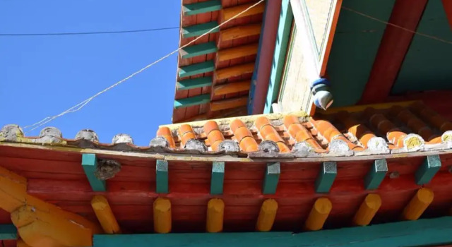 Blue Marmot Hostel&Tours, Prenota Hotel Sukhbaatar Ulan Bator