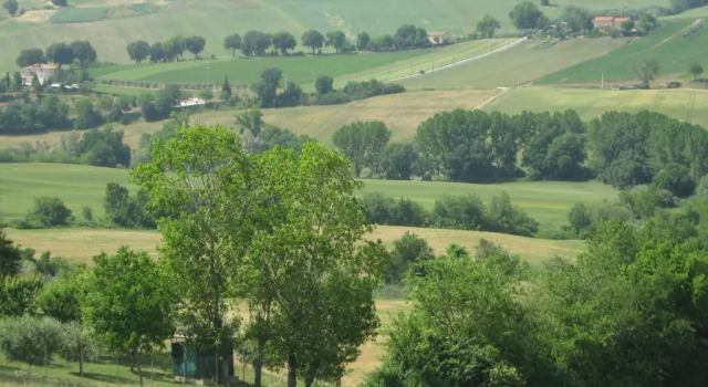 Апартаменты c 1 комнатой Il Giardino Degli Ulivi