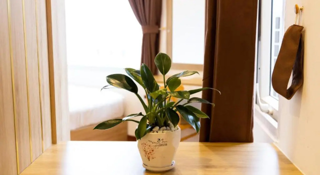 Номер Standard Hoang Loc Hotel