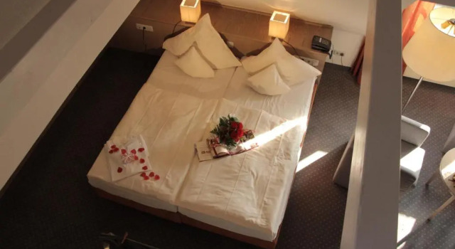 Одноместный полулюкс Romantisches Hotel Menzhausen
