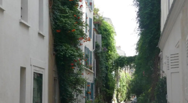 Двухместный номер Deluxe 55 Hôtel Montparnasse