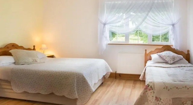 Номер Standard Shannon Breeze B&B