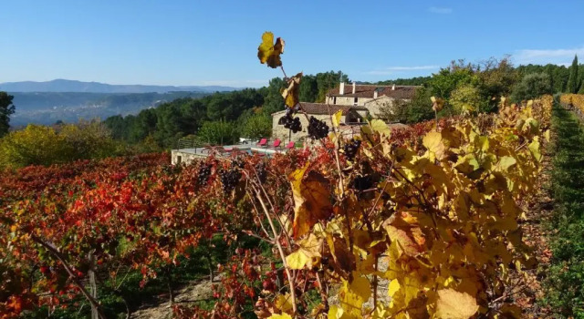 Номер Deluxe Domaine des hauts de Vernon