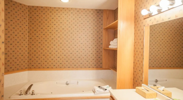 Номер Presidential с 3 комнатами Smuggler's Notch Resort by Resort Stay