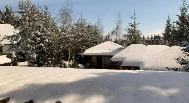 Апартаменты Дуплекс Vila Marija Zlatibor