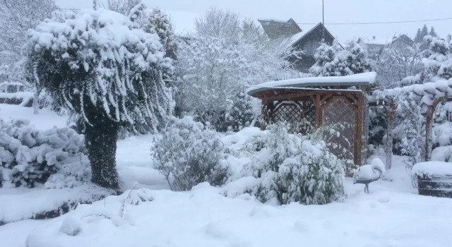 Коттедж Das Pautzen Haus