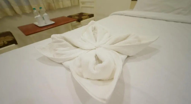Двухместный люкс с видом на город Hotel Palmyra Grand Inn