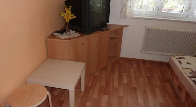 Двухместный номер Standard с красивым видом из окна Penzion Čech